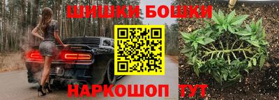 крисы Будённовск
