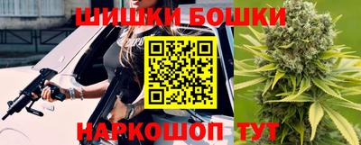 крисы Будённовск